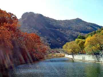 新澳天天开奖资料大全旅游团，黑帽seo秒拍